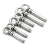 Stainless Steel 304 M10 M12 Expansion Anchor Bolt with Eye Nut