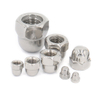 Stainless Steel Hexagon Domed Cap Nut DIN1587