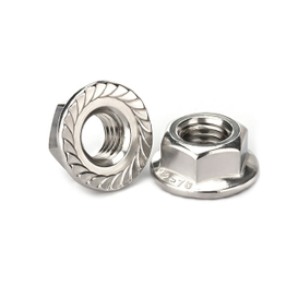 DIN 6923 SS 304 Serrated Flange Nut