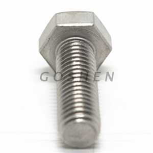 Duplex SS2205 1.4462 M10 stainless steel hex head bolt