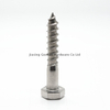 SS316 DIN571 Metric Hex Head Wood Screw 