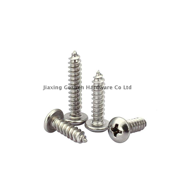 5/16 X 1 Button Head Stainless Steel Self Tapping Screw for Trailer Decking