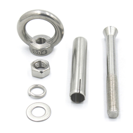 Stainless Steel 304 M10 M12 Expansion Anchor Bolt with Eye Nut
