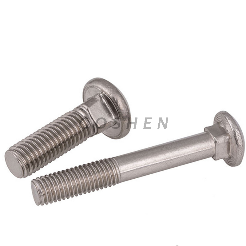 SS316L A4-80 Metric Half Thread Mushroom Head Square Neck Bolts 