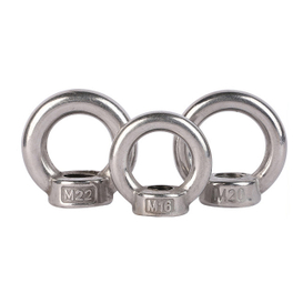 Din582 Metric M6 Stainless Steel Eye Nut for Lifting