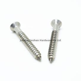 Stainless Steel Flat Head Self Tapping Wood Screw