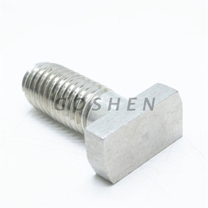 Stainless Steel 304 T Shape Thick Square Head Bolt with Slot