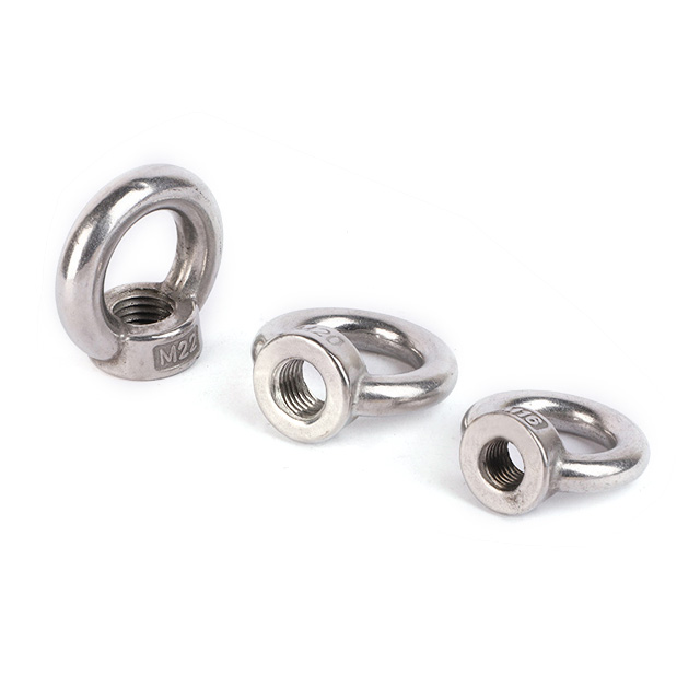 Din582 Metric M6 Stainless Steel Eye Nut for Lifting
