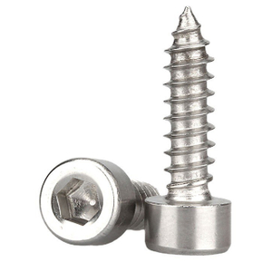 Stainless Steel Socket Head Self Tapping Screws