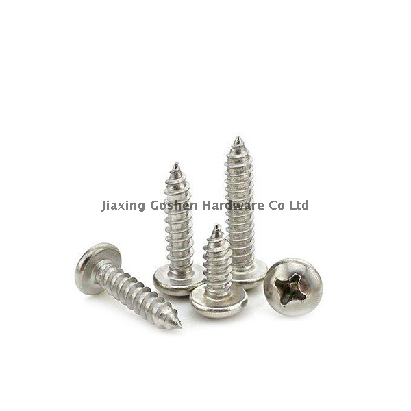 5/16 X 1 Button Head Stainless Steel Self Tapping Screw for Trailer Decking