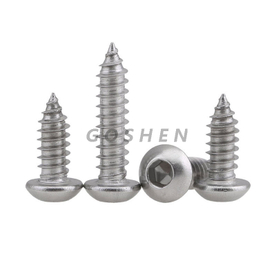 Stainless Steel Hex Socket Head Pan Head Self Tapping Screw
