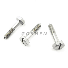 Stainless Steel 316 Hex Slotted Wood Screw