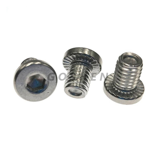 Stainless Steel 304 316L Non=standard Cylinder Head Hex screws