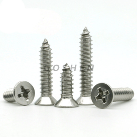 Stainless Steel 304 A2-70 St2.2-St6.3 Slotted Countersunk Head Tapping Screws 