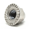 Stainless Steel M8 Hex Flange Cap Nut