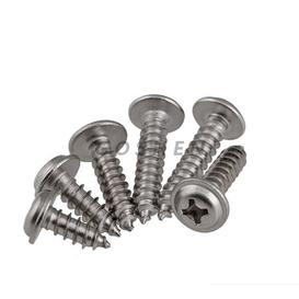 Stainless Steel Cross Recessed Truss Head Tapping Screws ST3.8*50mm