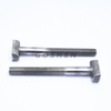 Stainless Steel Forged Flat Head T Hammer Bolt