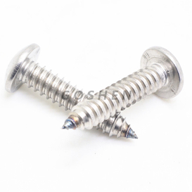 Stainless Steel 304 Phillips Head Self Tapping Sheet Metal Screws 