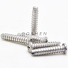 Stainless Steel PHILLPS Head Slotted End Self Tapping Screw 