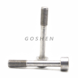 Stainless Steel 316 304 Hex Socket Head Cap Allen Screw
